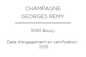 Vigneron A venir - Georges Remy.jpg